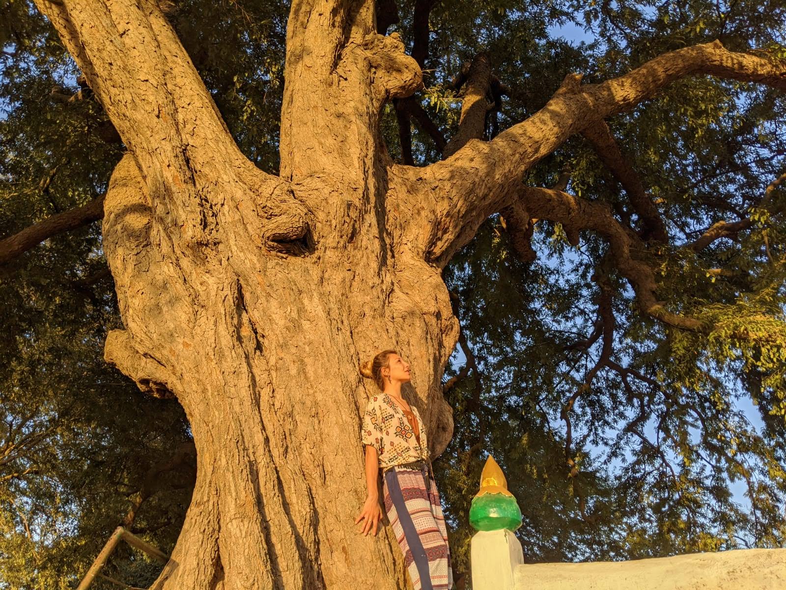 Andrea Flood resting against a large tree in golden light